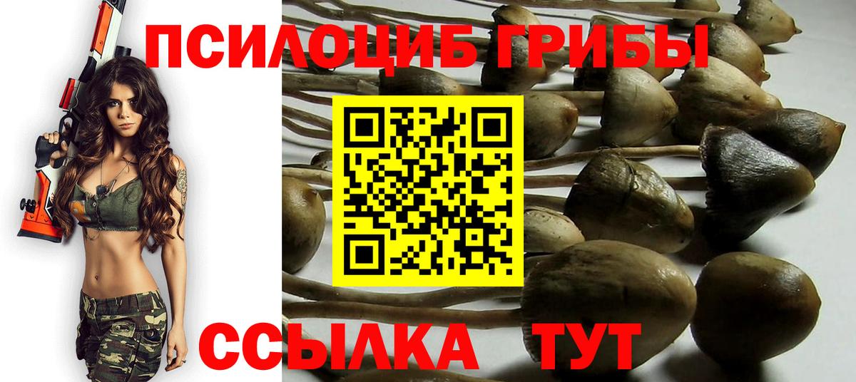 Черногорск  Галлюциногенные грибы мухоморы  Вход с VPN 