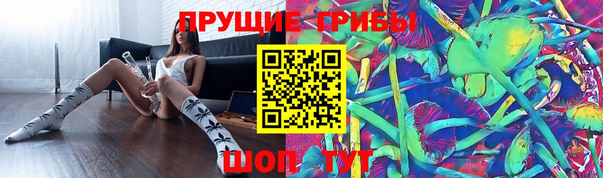 Галлюциногенные грибы MAGIC MUSHROOMS Черногорск