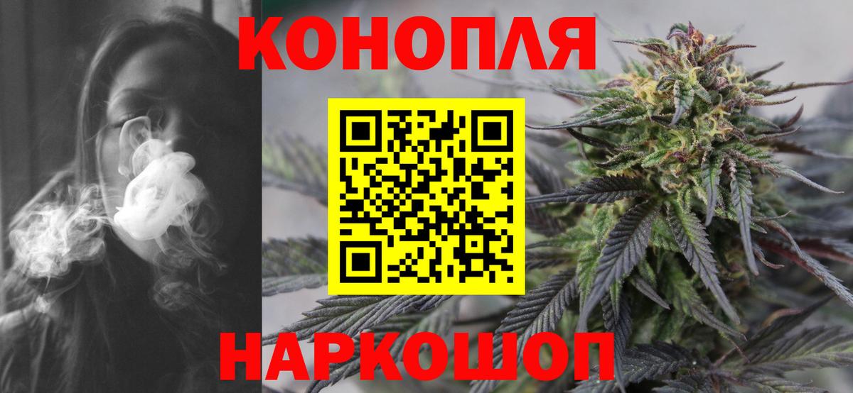 МАРИХУАНА план  Бошки Шишки семена  Шишки марихуана планчик  Вход с VPN  Черногорск 